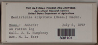 Image Associated With the Occurence